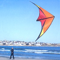 Addiction Stunt Kite
