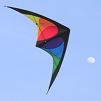 Beebop Stunt Kite