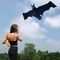 Black Bat