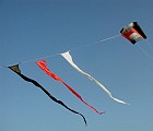 Banner Tails