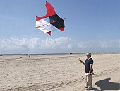 Cody Box Kite