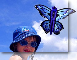 Butterfly Kite