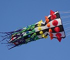 Cephalopod Spinner