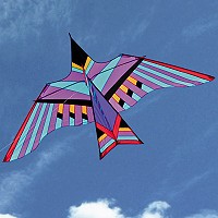 Cloud Bird