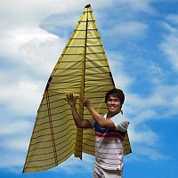 Paper Airplane Delta