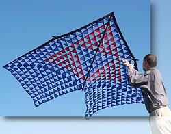 Tri-Mesh Delta
