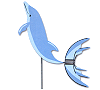 Splashing Dolphin