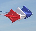 Dyna Kite Stunt Masters