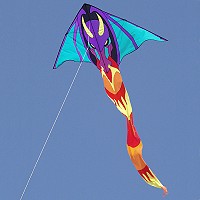 SureFly Delta
