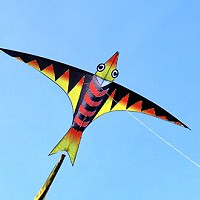 Exotic Bird
