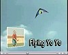 Fligh School DVD