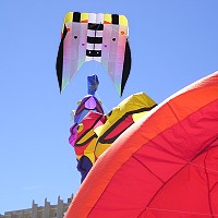Flow Form Lifter