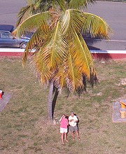 KAP image