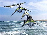 French Connecion Stunt Kite