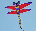Big Dragonfly