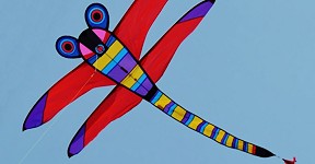 George Peters Big Dragonfly - Tropic