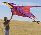 Pterosaur