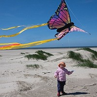 Ruby HQ Butterfly