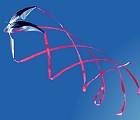 Ninja Star 4