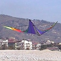 Jam Session Stunt Kite