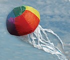 Rainbow Jellyfish