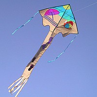 Beach Jumbo Easy Fly Delta