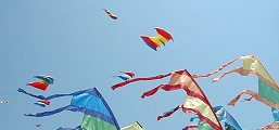 Single Line Kites