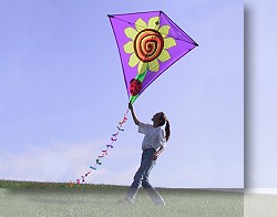 Single Line Kites