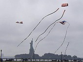 Single Line Kites