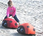 Bouncing Ladybug