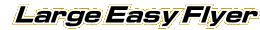 Large Easy Flyer