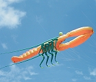 Monster Lobster