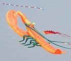 Specialty Kites