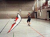 Low Wind Stunt Kites