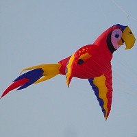 Mega Scarlet Macaw