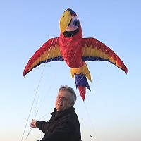 9ft Scarlet Macaw