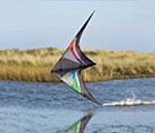 Maestro II Stunt Kite