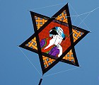 Geisha Mesh Star