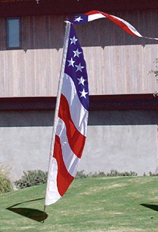 9ft Patriotic Feather Banner