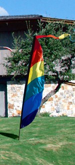 9ft Rainbow Feather Banner