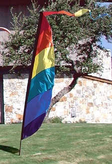 9ft Rainbow Feather Banner