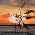Pelican Spinner