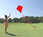 33 inch Plain Diamond Kite
