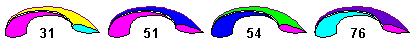 ProTeam 8 Colors
