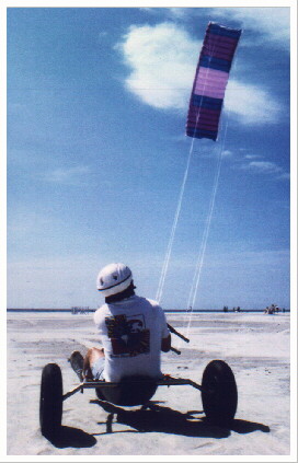 Photo of Skytiger Hi40 & Buggy