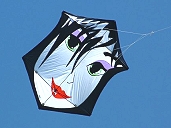 56inch Tsuke