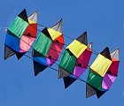 Roto Box Extreme Rotating Box Kite
