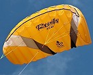 Rush 2-Line Trainer Kite