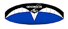 Blue/White
