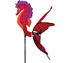 Seahorse